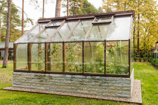 Dwarf wall greenhouse No 5